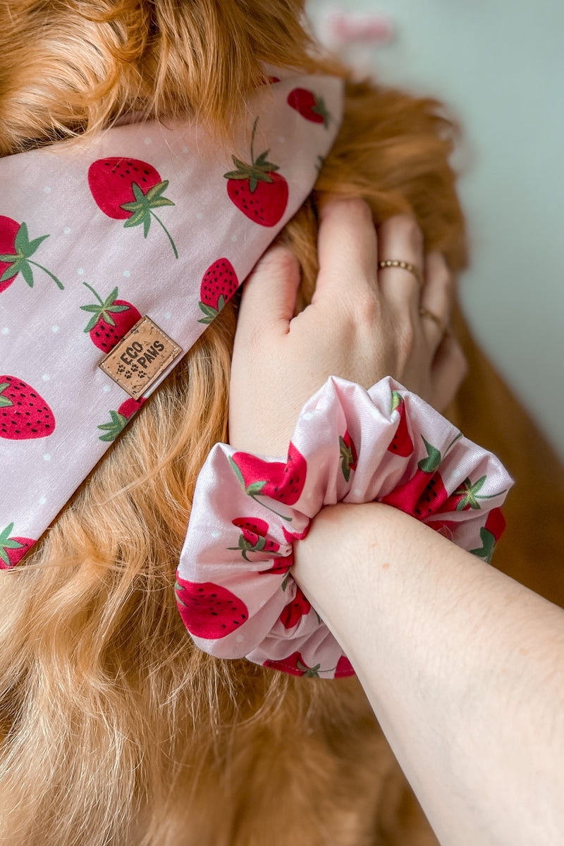 "Berry Sweet" Scrunchie