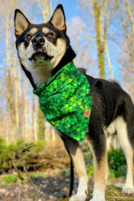 "Neon Clovers" Bandana