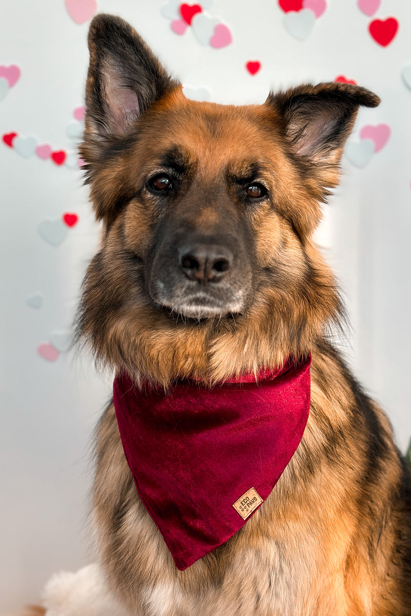 "Wine Velvet" Bandana