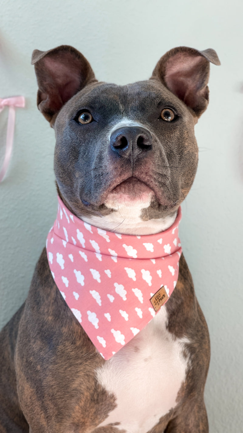 "Cloud Nine" Bandana