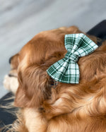 "Plaidly Irish" Over the Collar Dog Bow