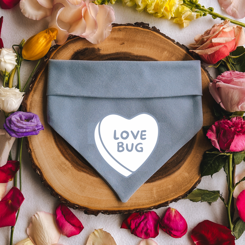 "Love Bug" Bandana