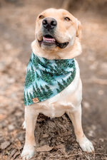 “Winter Pines” Bandana