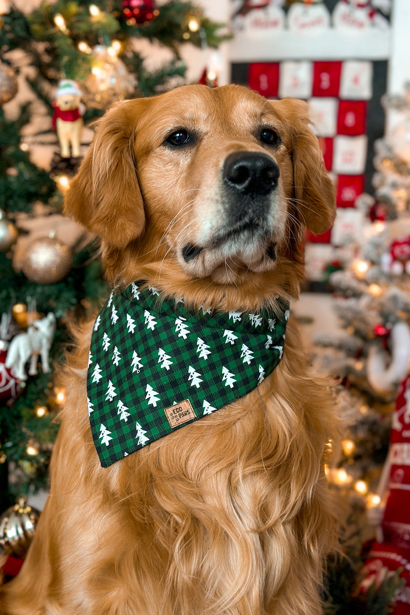 "Winter Tree Farm" Bandana