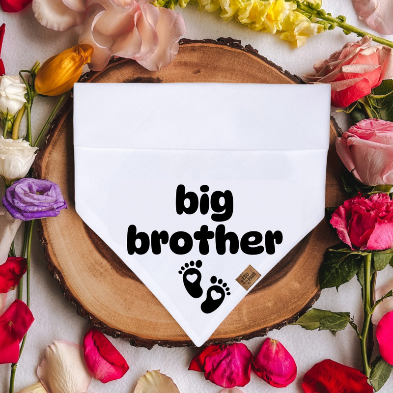 "Big Brother" Bandana