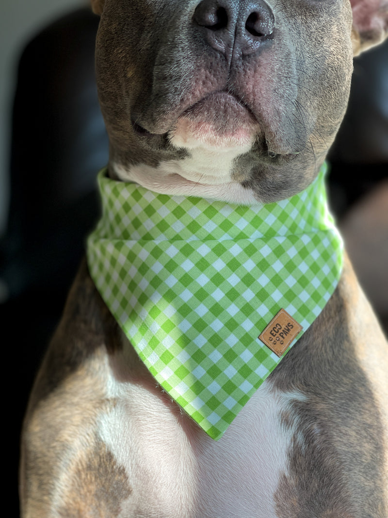 "Green Gingham" Bandana