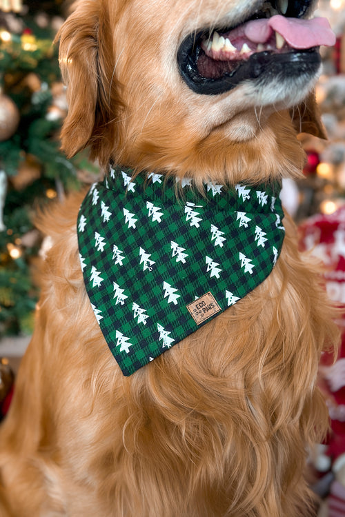 "Winter Tree Farm" Bandana