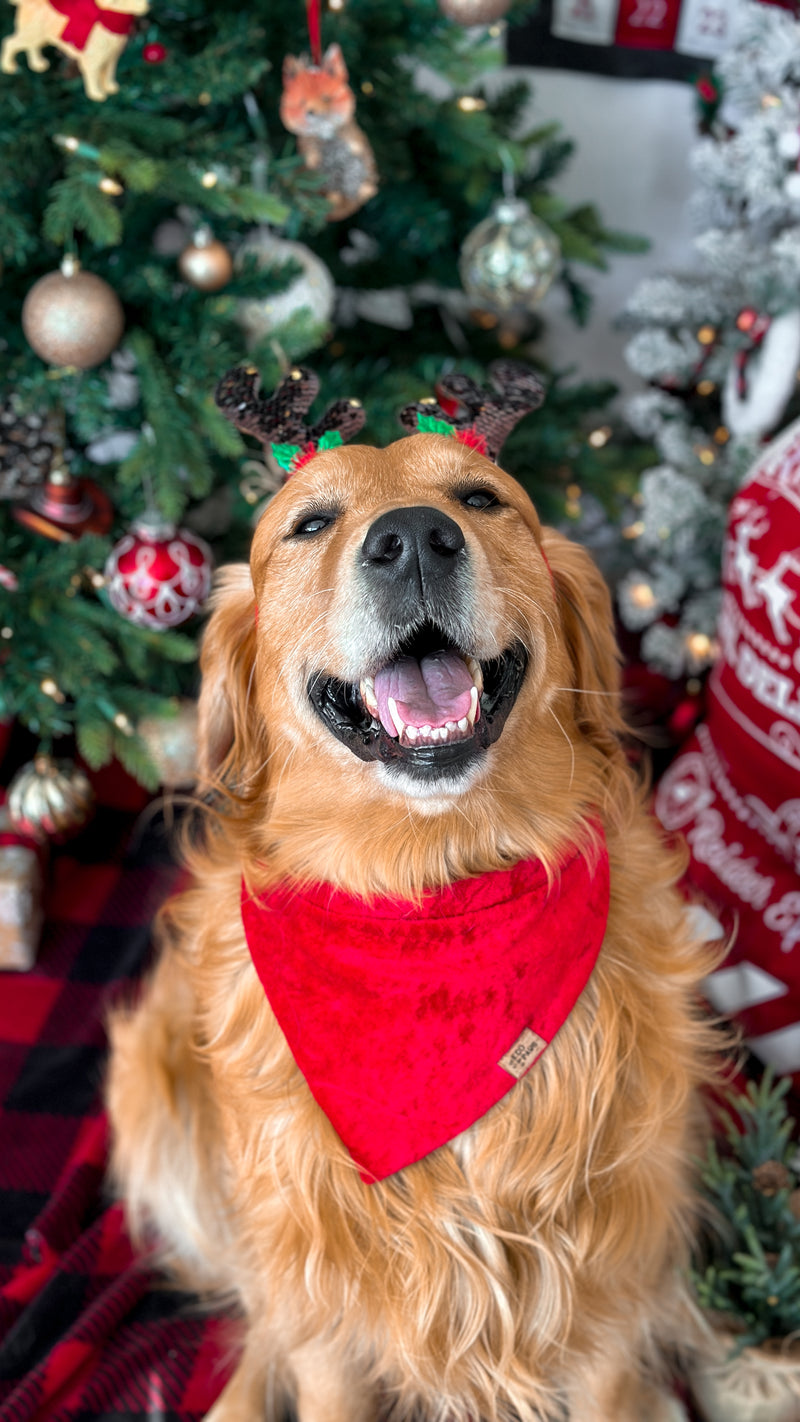 "Red Velvet” Bandana