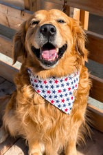 "All-American Stars" Bandana