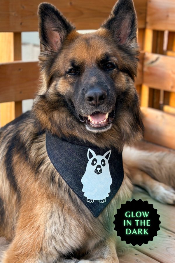 "Ghost Dog" Bandana