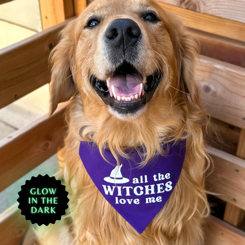 "All the Witches Love Me" Bandana