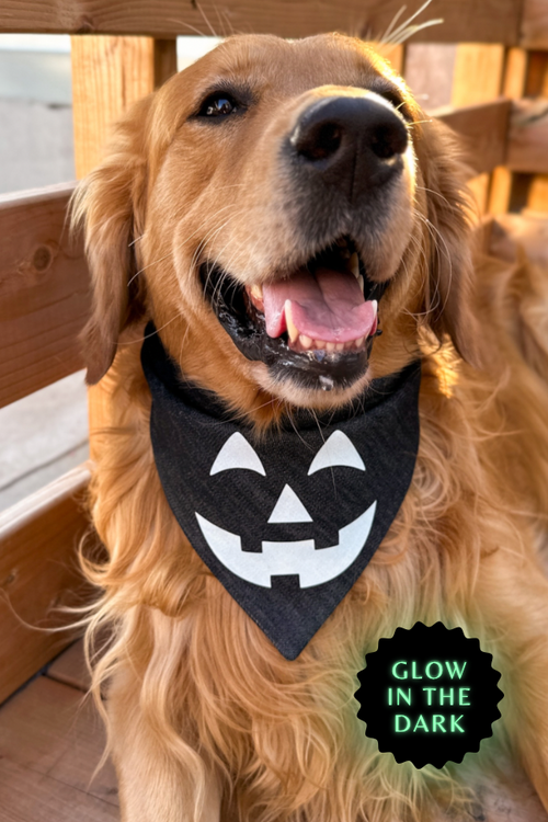 "Spooky Pumpkin" Bandana