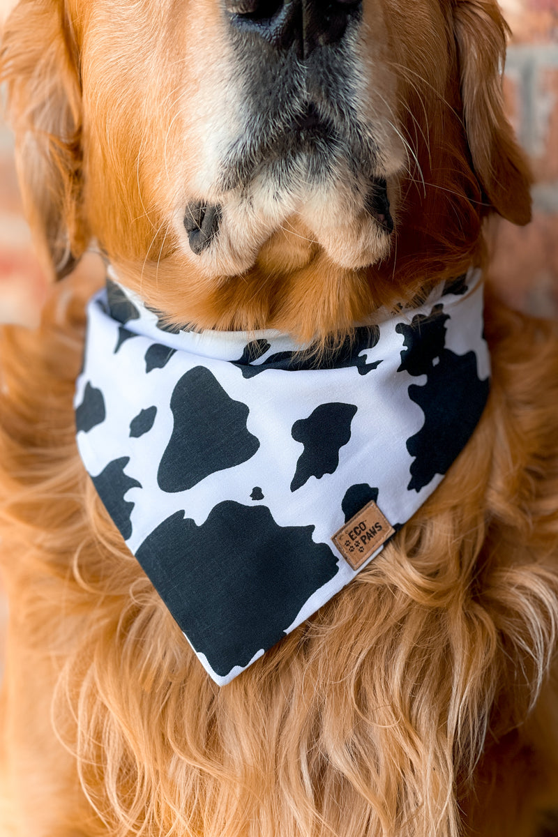 "Howdy Cowdy" Bandana