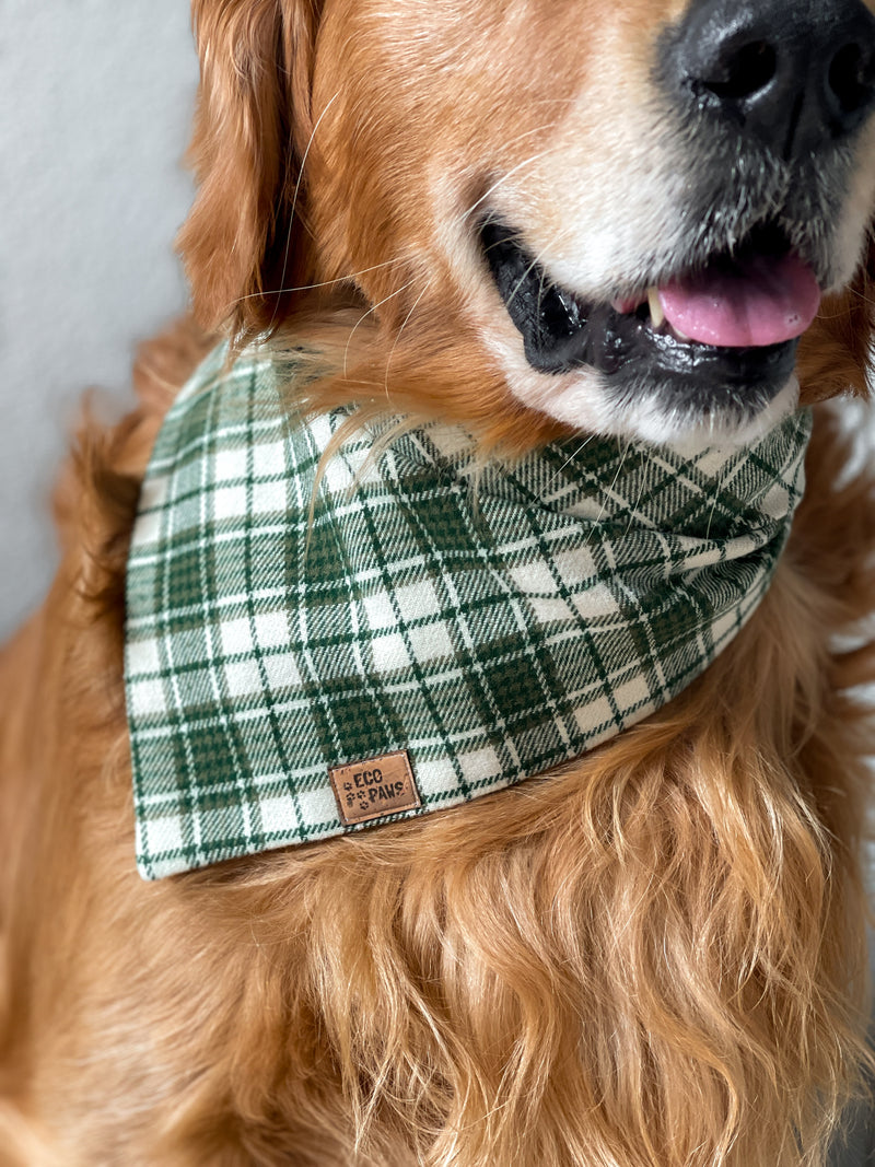 "Plaidly Irish" Bandana