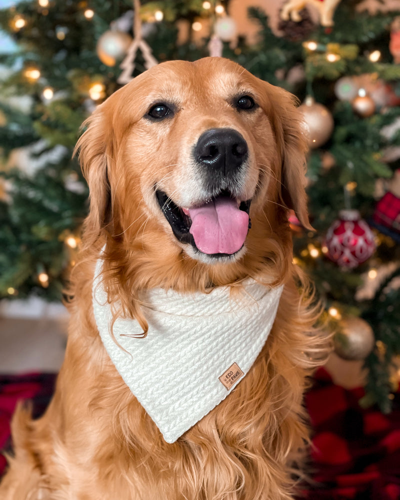 "Snuggle Season" Bandana