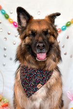 "Spring Confetti" Bandana