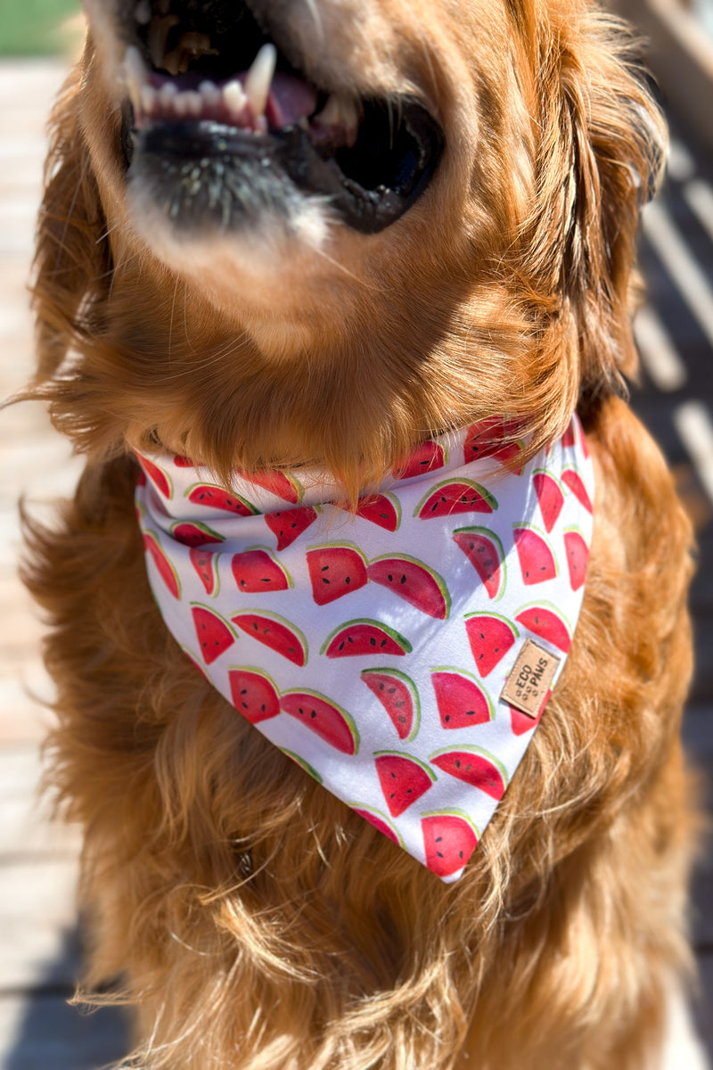 "Watermelon" Bandana