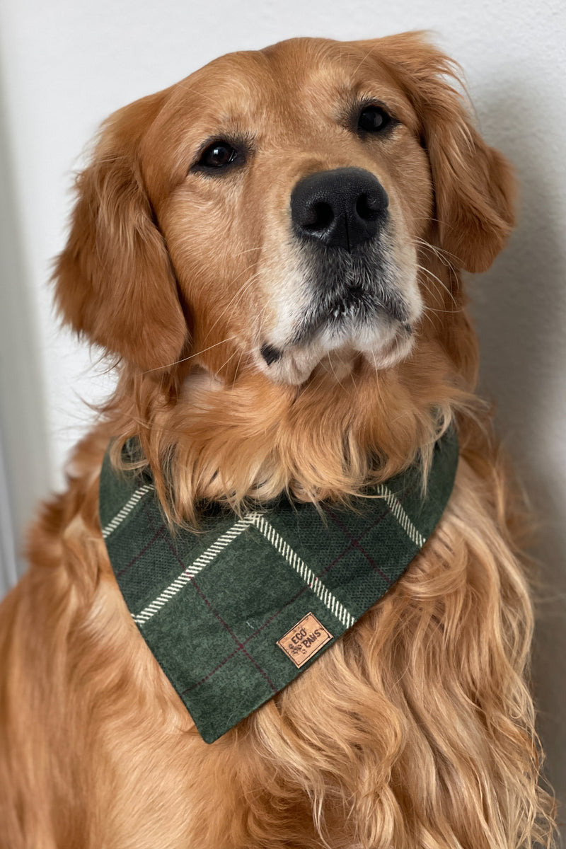 "Shamrock Plaid" Bandana