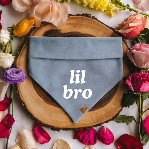 "Lil Bro" Bandana