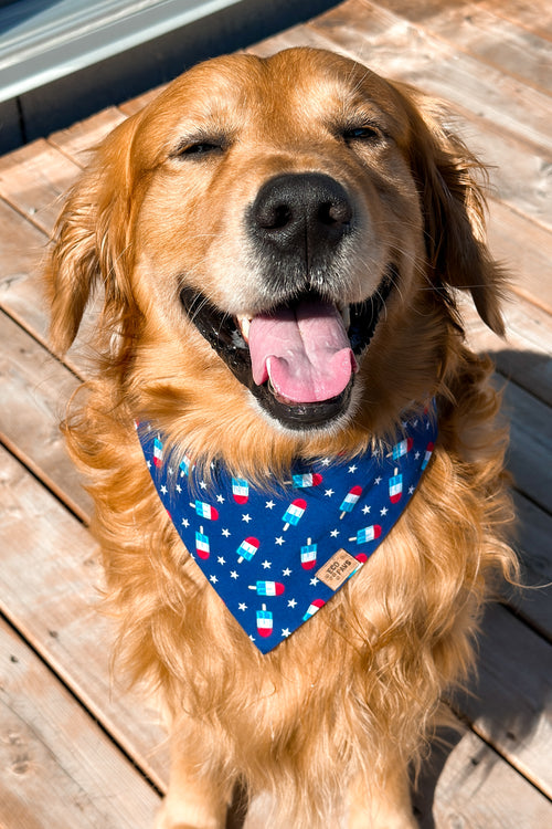 "Patriotic Pupsicles" Bandana