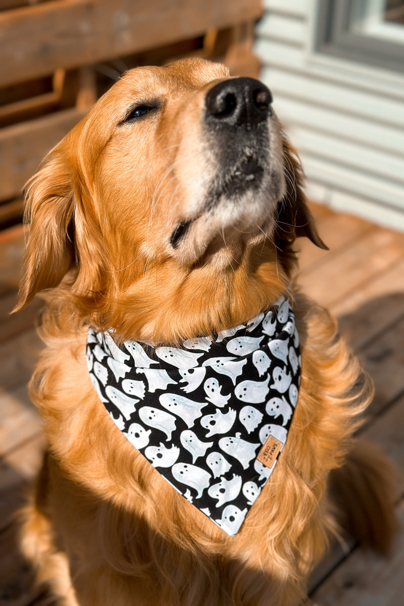 "Ghosties" Bandana