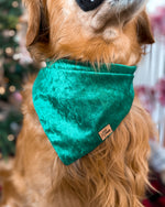 "Emerald Green Velvet" Bandana