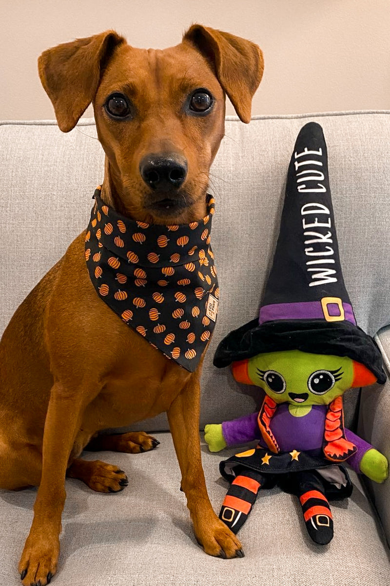 "Mini Pumpkins" Bandana