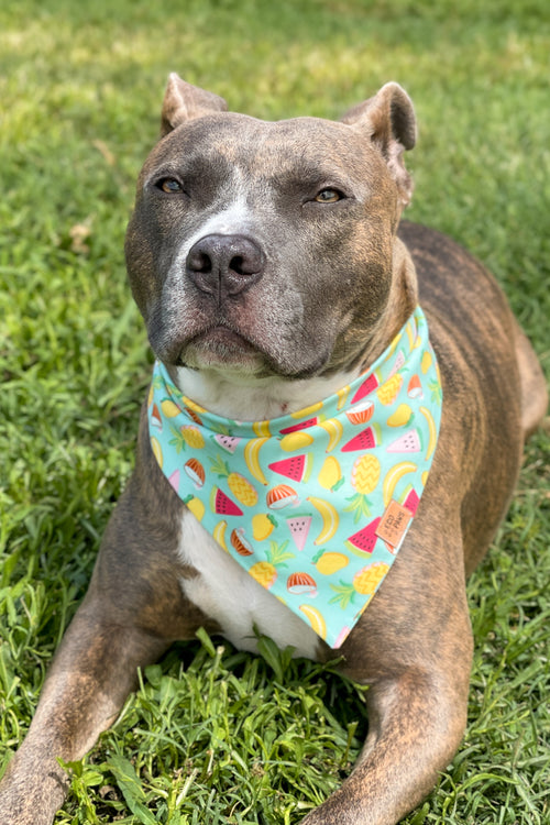"Sweet Tropics" Bandana