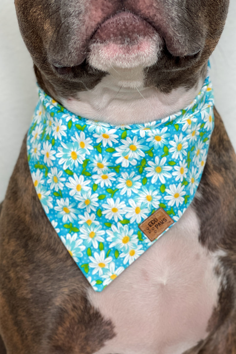 "Daisies in the Sky" Bandana