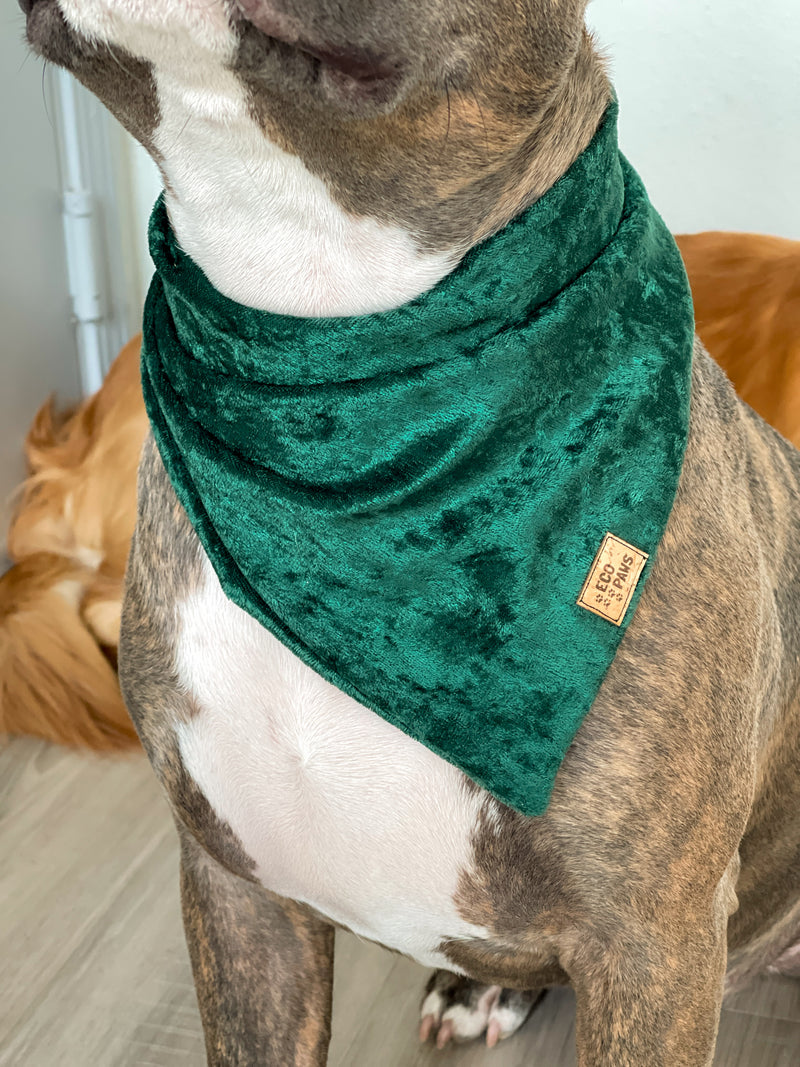 "Evergreen Velvet" Bandana