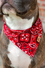 "Outlaw" Bandana