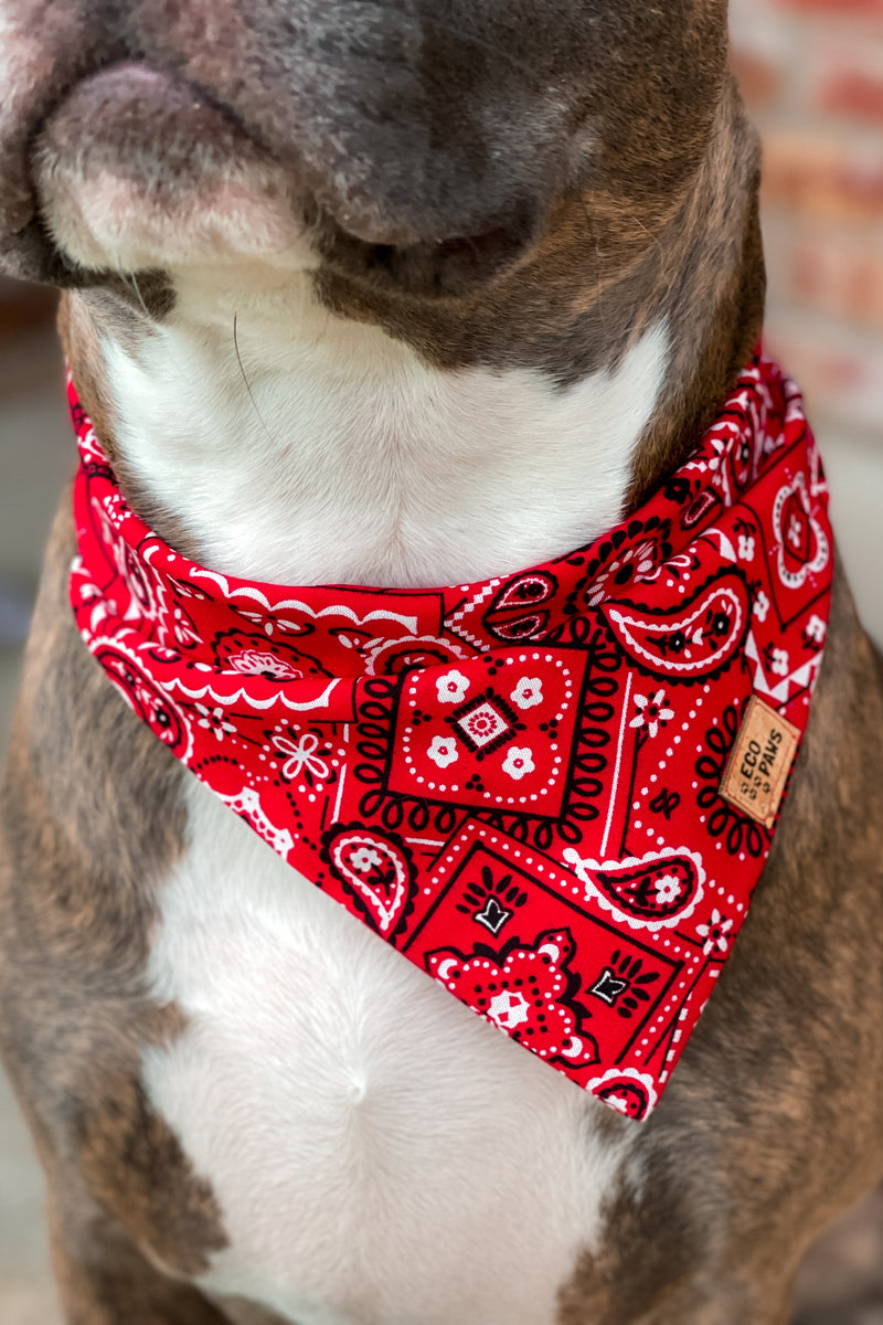 "Outlaw" Bandana