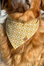 "Boho Flower Checker" Bandana