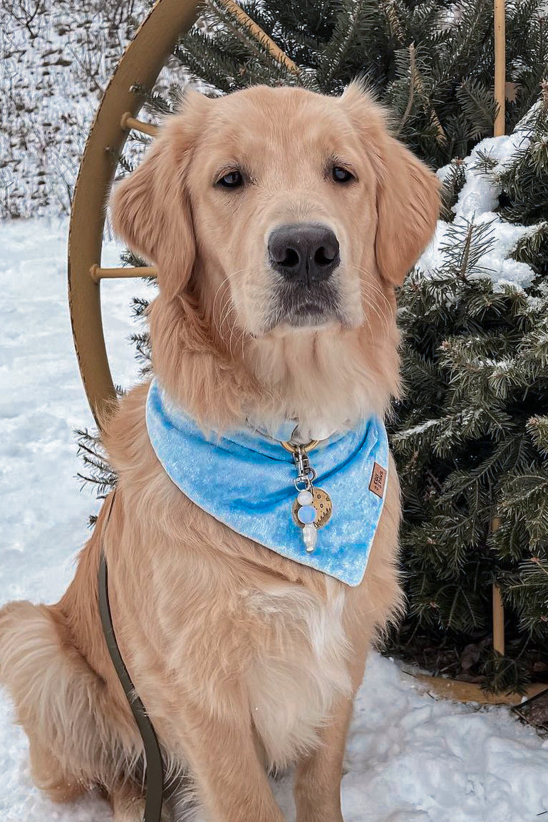 “Frozen Velvet" Bandana