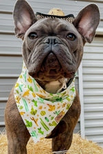 “Desert" Bandana