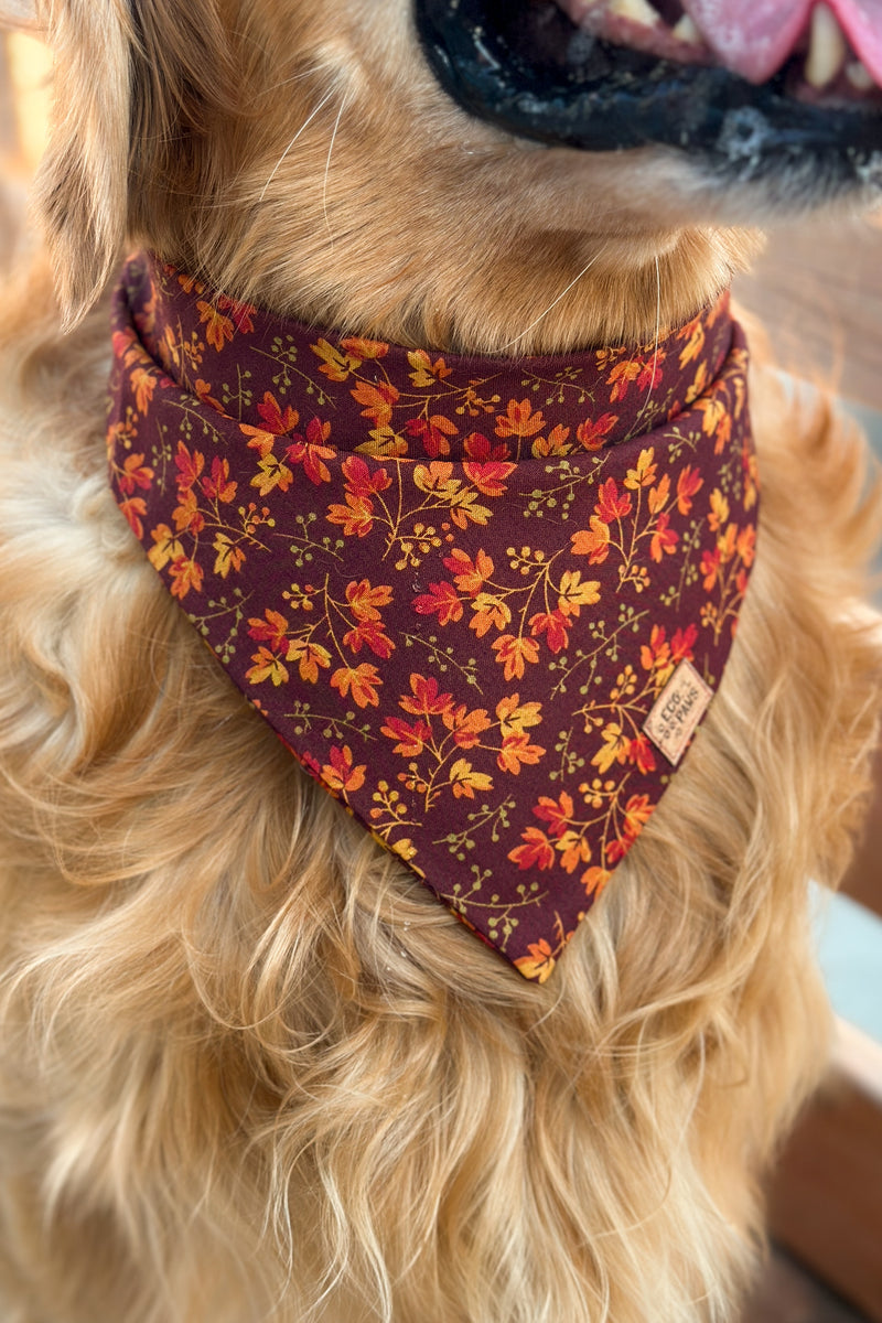 "Crisp Fall" Bandana