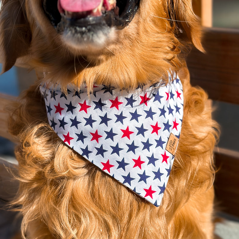 "All-American Stars" Bandana