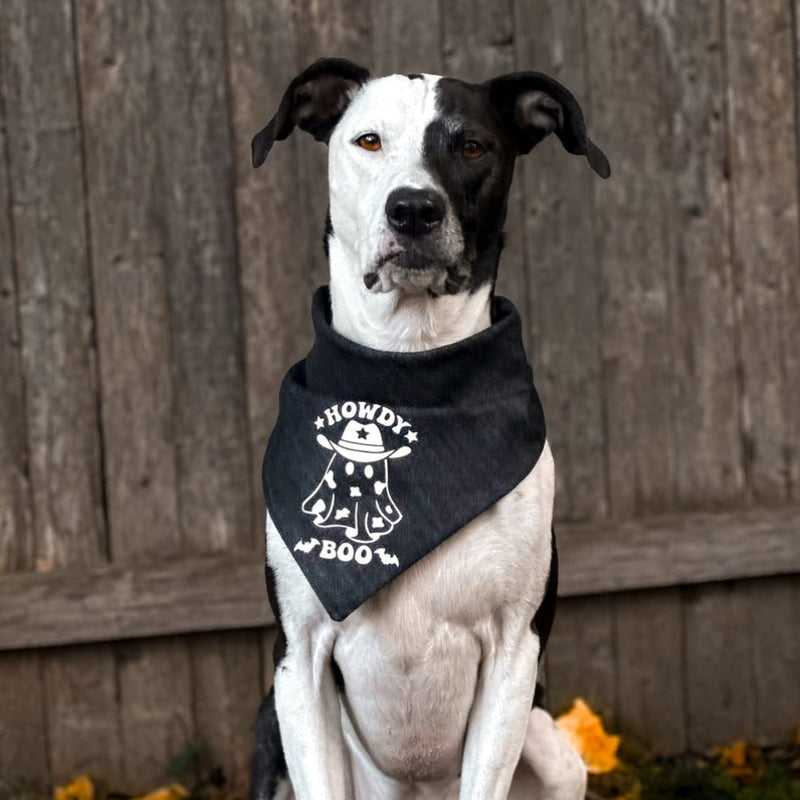 "Howdy Boo" Bandana