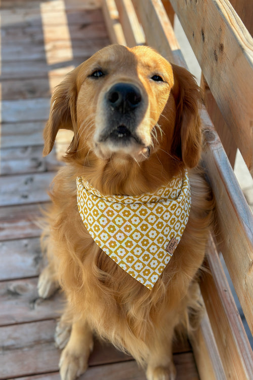 "Boho Flower Checker" Bandana