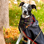 "Spooky Hogwarts" Bandana