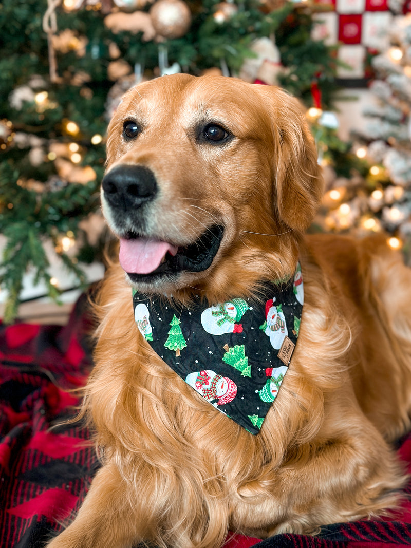 "Feeling Frosty" Bandana