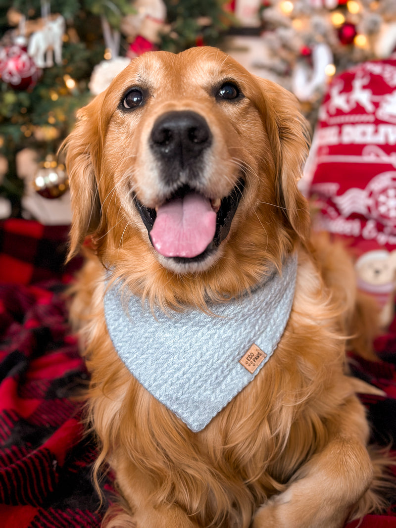 "Bundle Up" Bandana