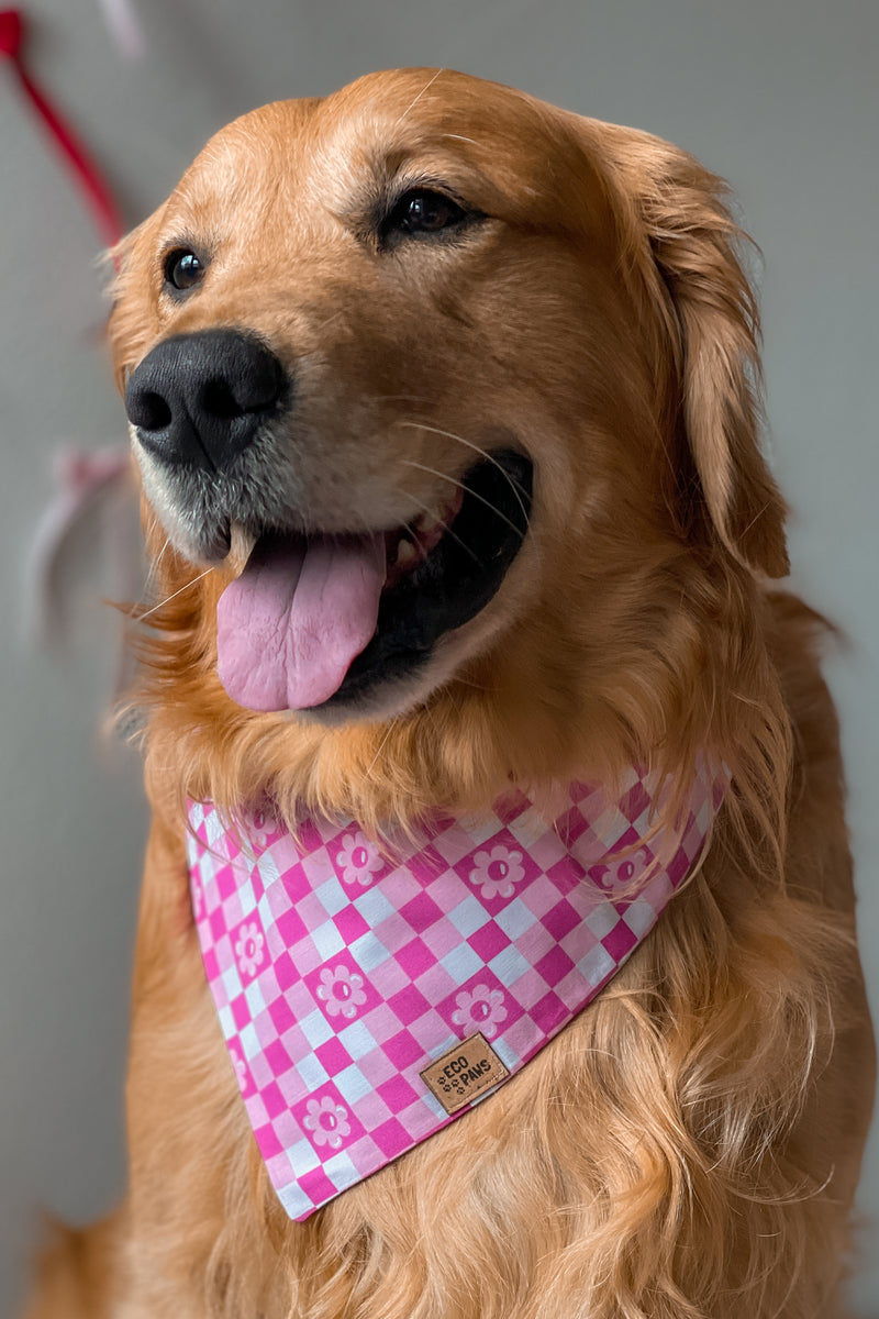 "Groovy Love" Bandana