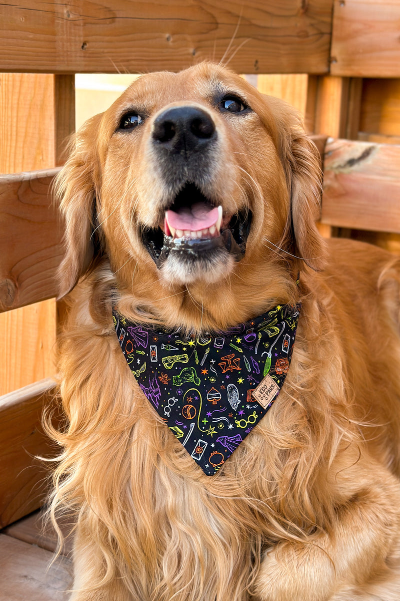 "Spooky Hogwarts" Bandana