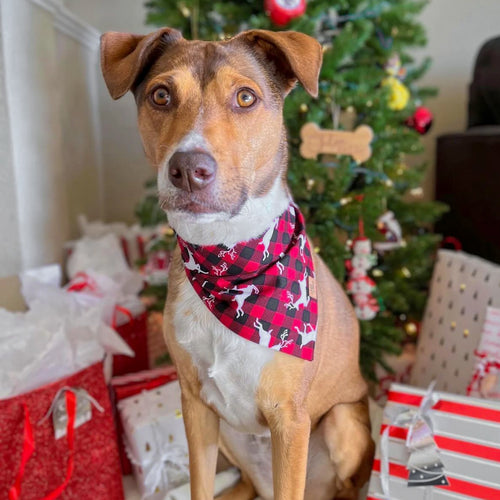 "Oh My Deer" Bandana