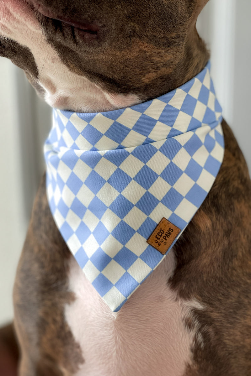 "Springtime Check" Bandana