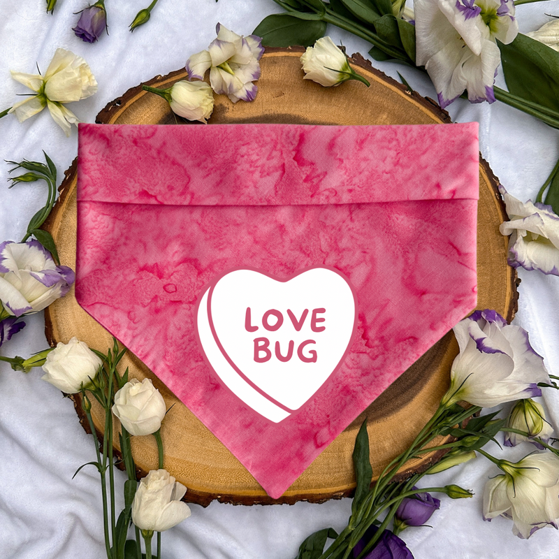 "Love Bug" Bandana