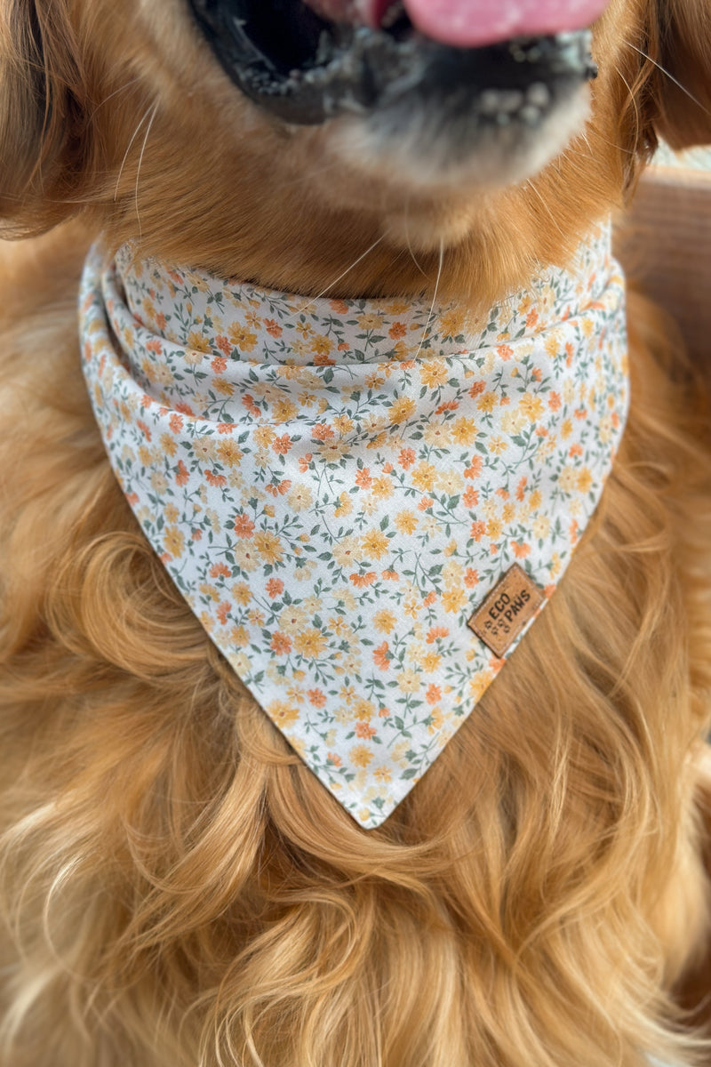 "Autumn Bloom" Bandana