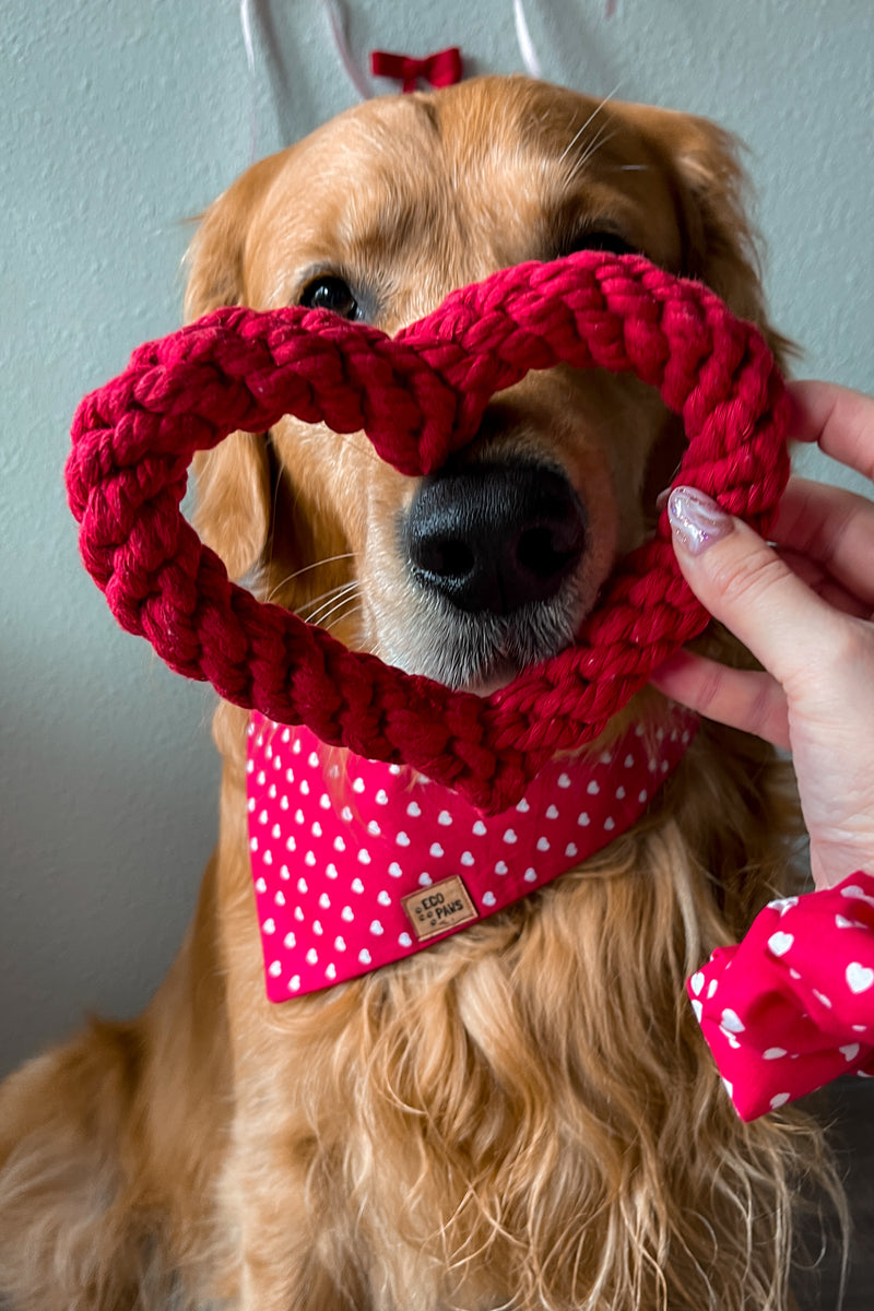 Heart Rope Dog Toy