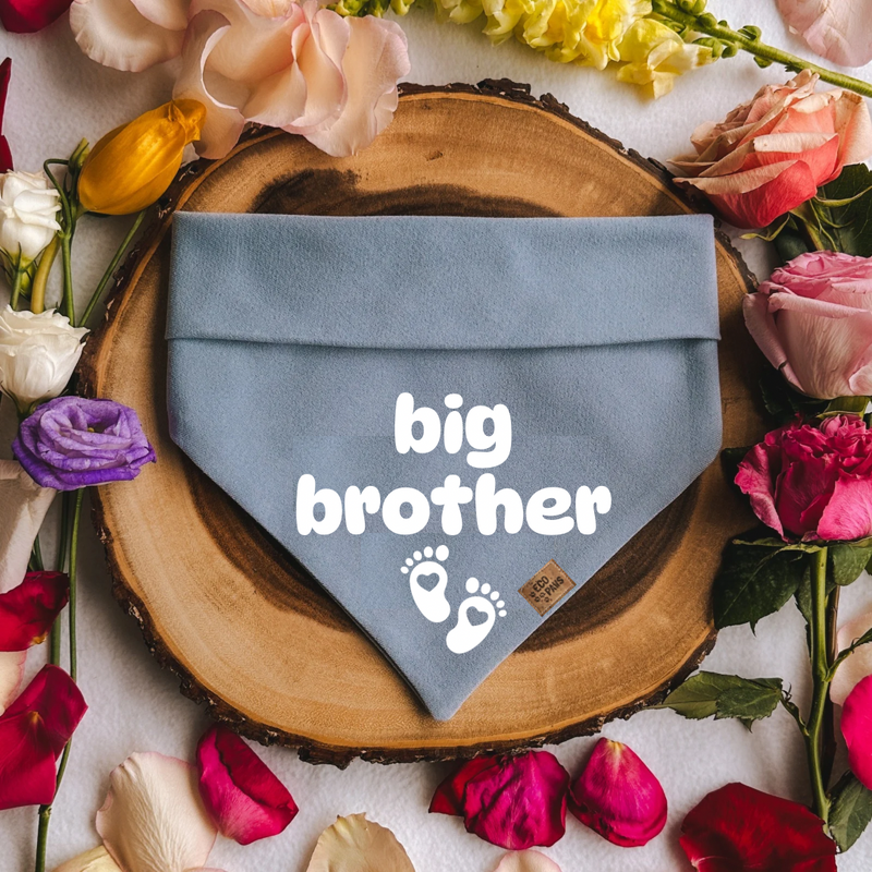 "Big Brother" Bandana